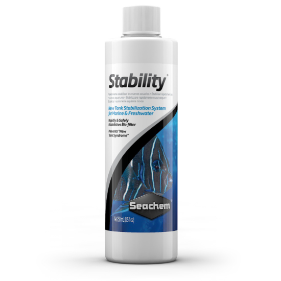 Stability