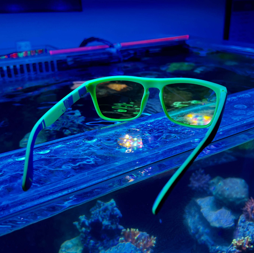 Lunettes Coral Lens