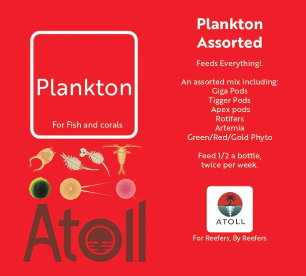 Plankton