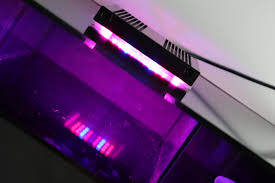 Nova Refugium Light