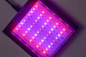 Nova Refugium Light