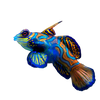Poissons AquaCorail