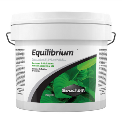 Equilibrium