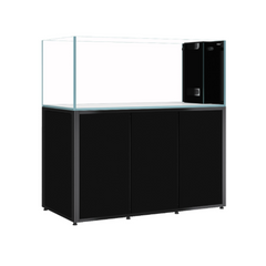 Collection image for: Aquarium