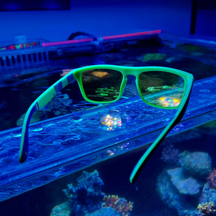 Lunettes Coral Lens