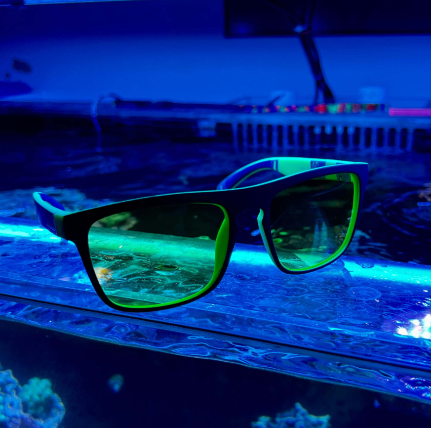 Lunettes Coral Lens