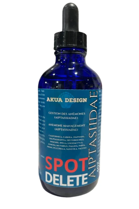 SPOT AIPTASIIDAE - DELETE