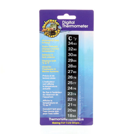 Thermomètre numérique