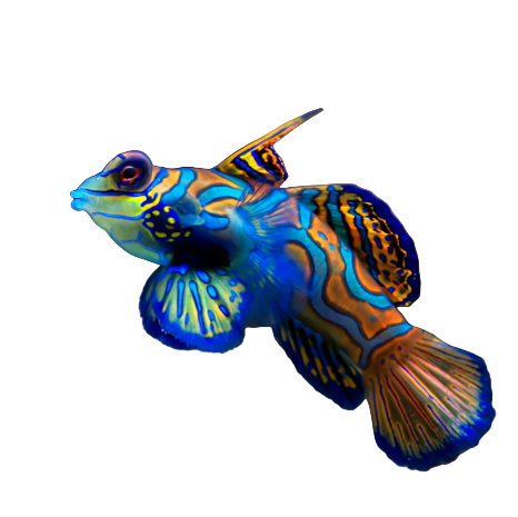 Green Mandarin