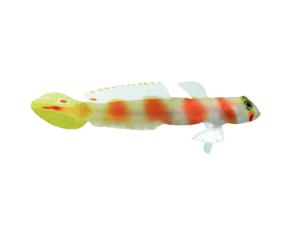 Pinkbar Shrimp Goby