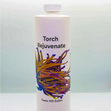 Torch Rejuvenate