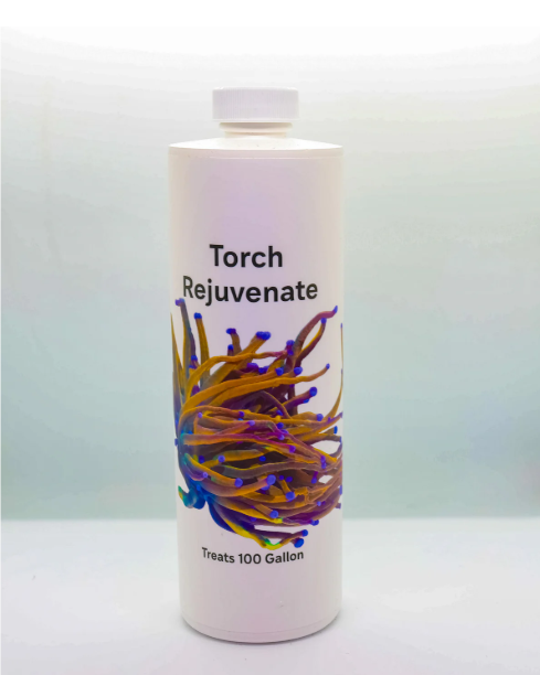 Torch Rejuvenate