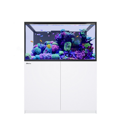 Red Sea Reefer G3