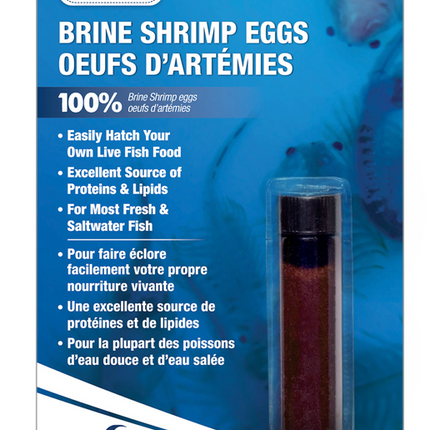 Œufs d’artémias (Brine Shrimp Eggs) – 6 g