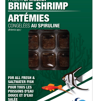 Artémias à la spiruline congelés – 200 g (Frozen Spirulina Brine Shrimp)