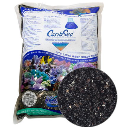 Sable vivent Arag-Alive! Sable Noir Hawaïen