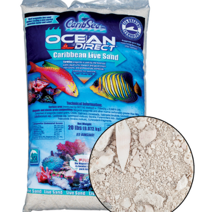 Ocean Direct – Sable Vivant Caraïbes