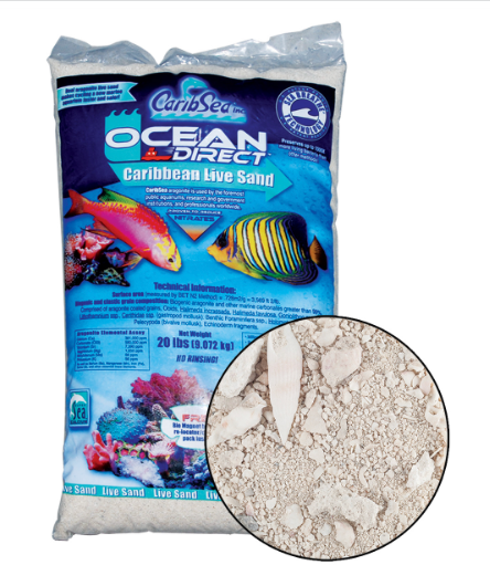 Ocean Direct – Sable Vivant Caraïbes