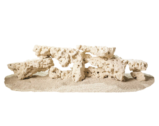 Roche Plate South Seas – South Seas Shelf Rock (1 côté plat) (1 item = ½ lb)