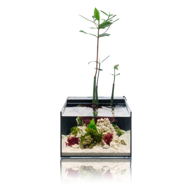UNS 45SA AIO Shallow - 6 gal