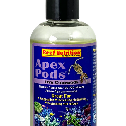 Apex-Pods 6oz