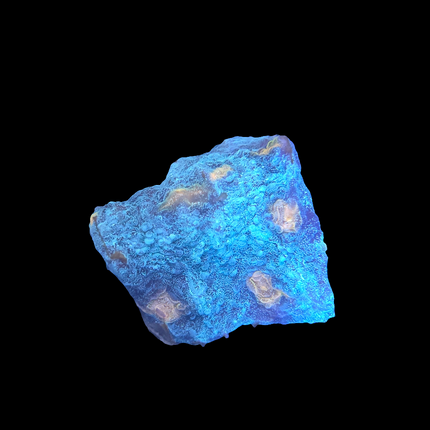 Teal and Orange Chalice