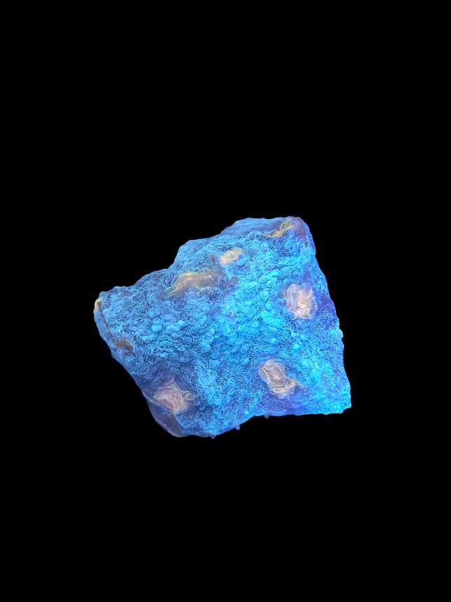 Teal and Orange Chalice